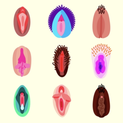 All kinds of vulva's drawn
