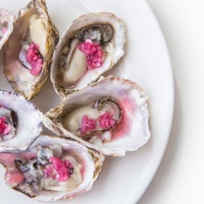 oysters on a plate