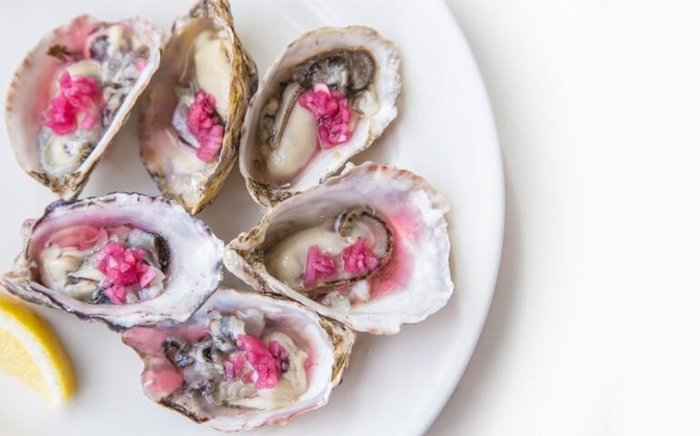 oysters on a plate